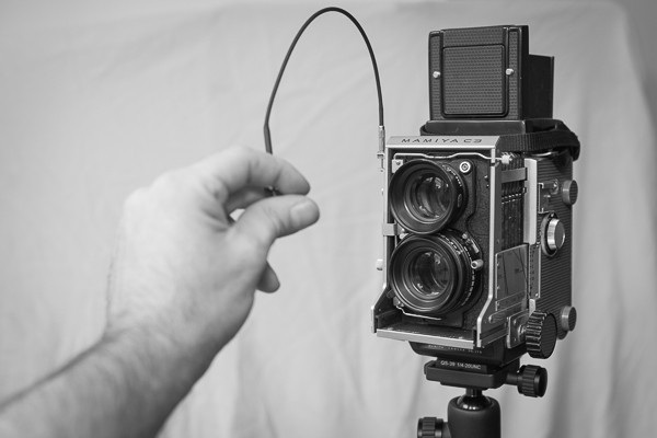 Mamiya C3 @La_Molte