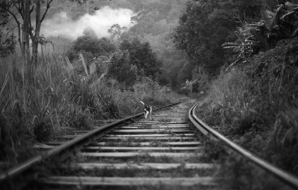 Tamara Jullien - Railway of Life