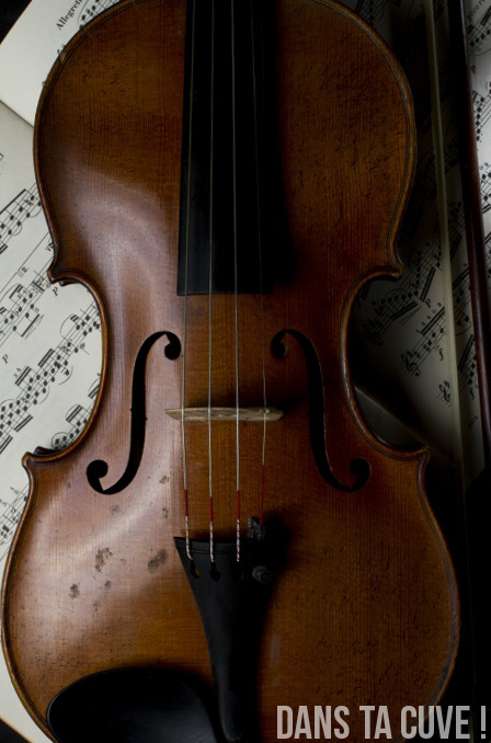 Aperçu numérique du violon