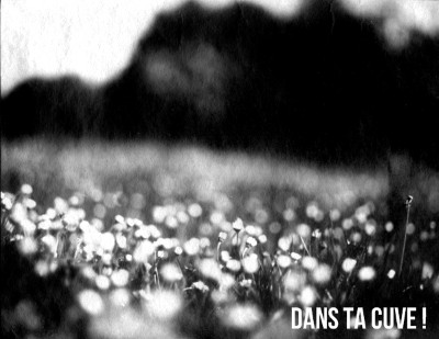 Film Washi