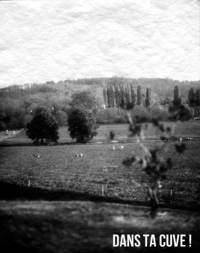 Film Washi