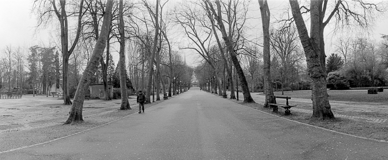 horizon-Scan-150219-0002