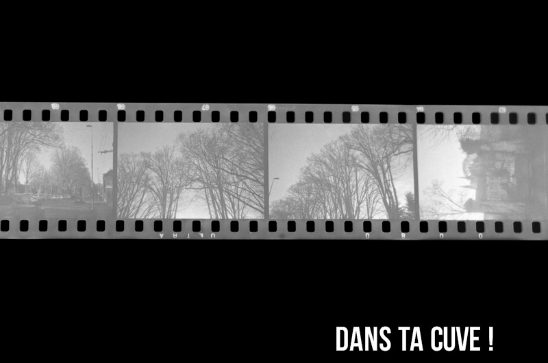 Après le tirage contact !