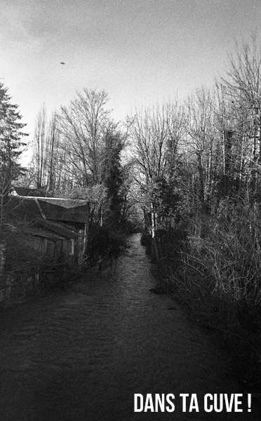 Yashica T5 - Wineol