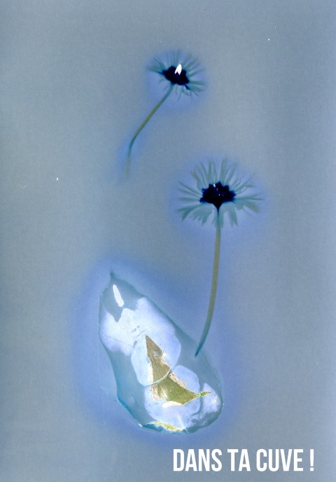Lumen Print