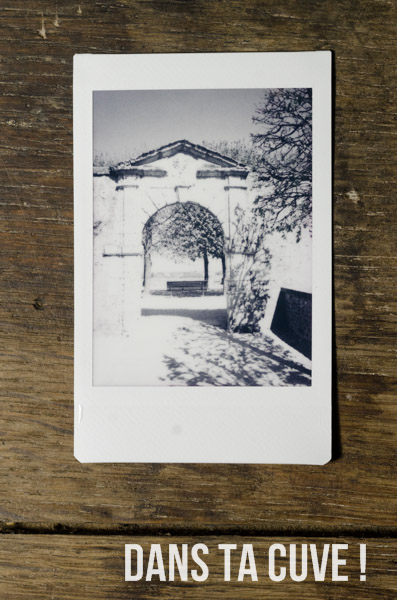 Instax Mini - Fuji instax mini 8